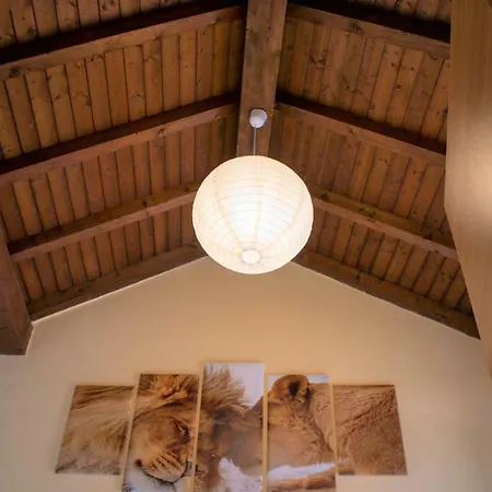 Apartamento Nicolaus Sesto Calende